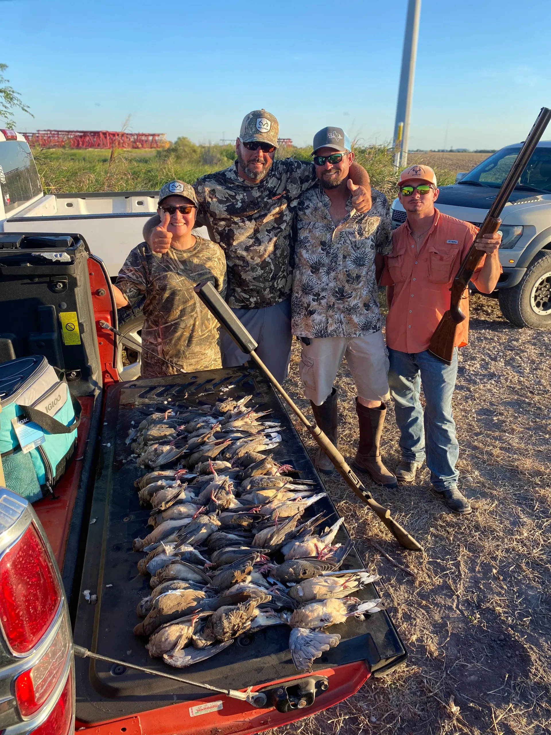 Dove Hunting Near Corpus Christi: Seasons, Locations & Hunting Tips